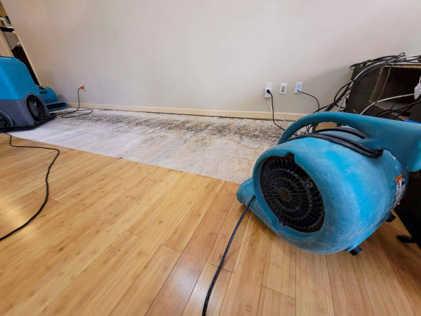 Professional Ceiling Water Damage Repair technician working in Mountain Center, CA